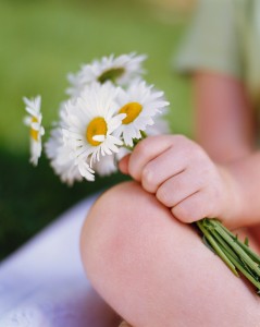 Holding Daisies
