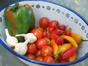 veggie bowl