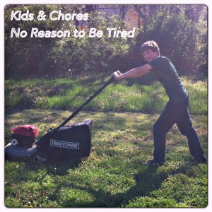 tmi chores and kids 2013