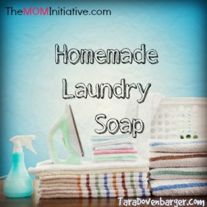 laundrysoapmom