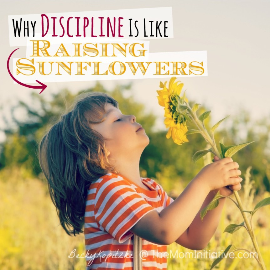 Why discipline is like raising sunflowers